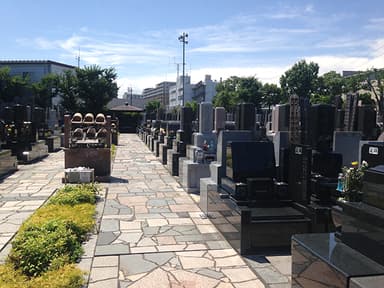 高島平霊園　区画整理された墓域