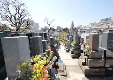 真宗大谷派 真英寺(眞英寺)