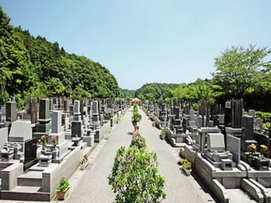 白井メモリアルパーク　植栽のあるメイン参道